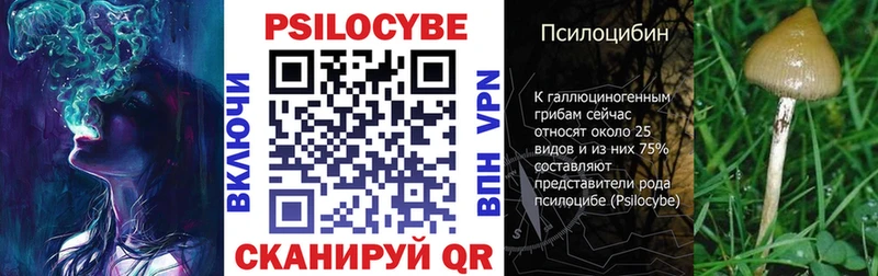 закладки  Нижняя Салда  Псилоцибиновые грибы Magic Shrooms 